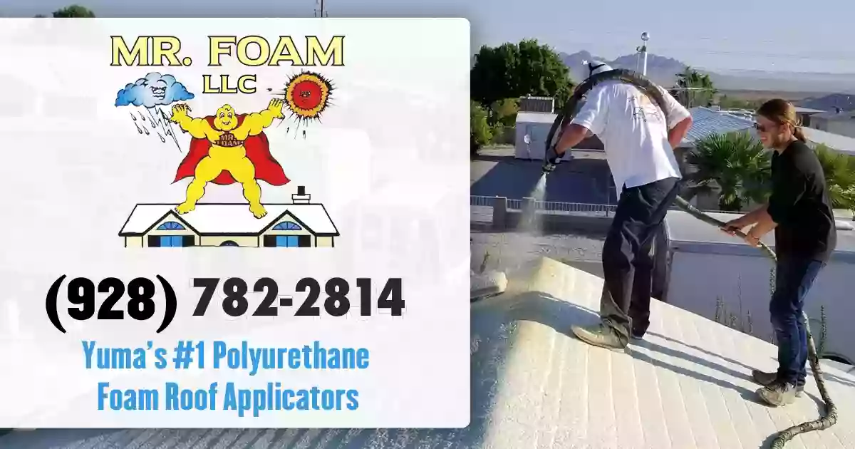 Mr Foam LLC