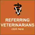 Arizona Veterinary Physical Rehabilitation
