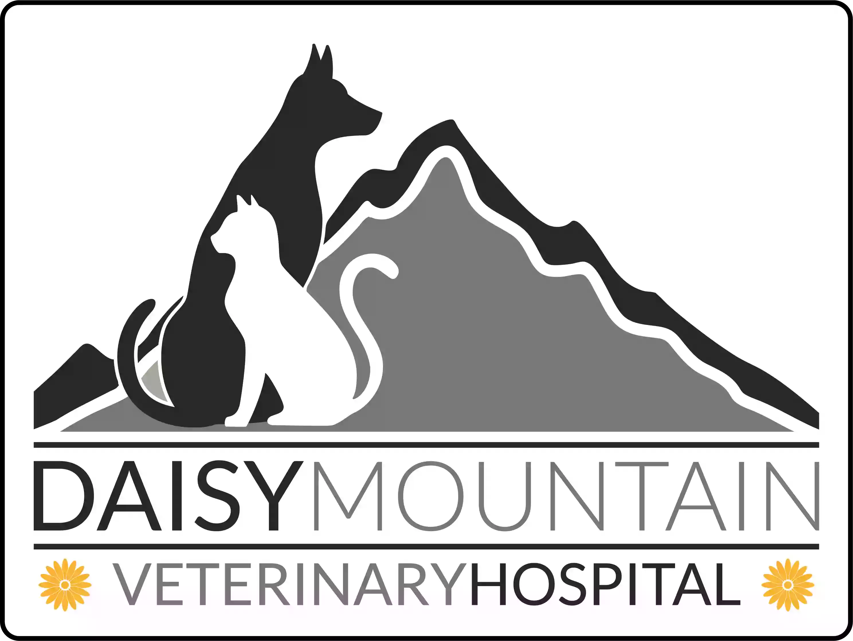 Daisy Mountain Veterinary Hospital