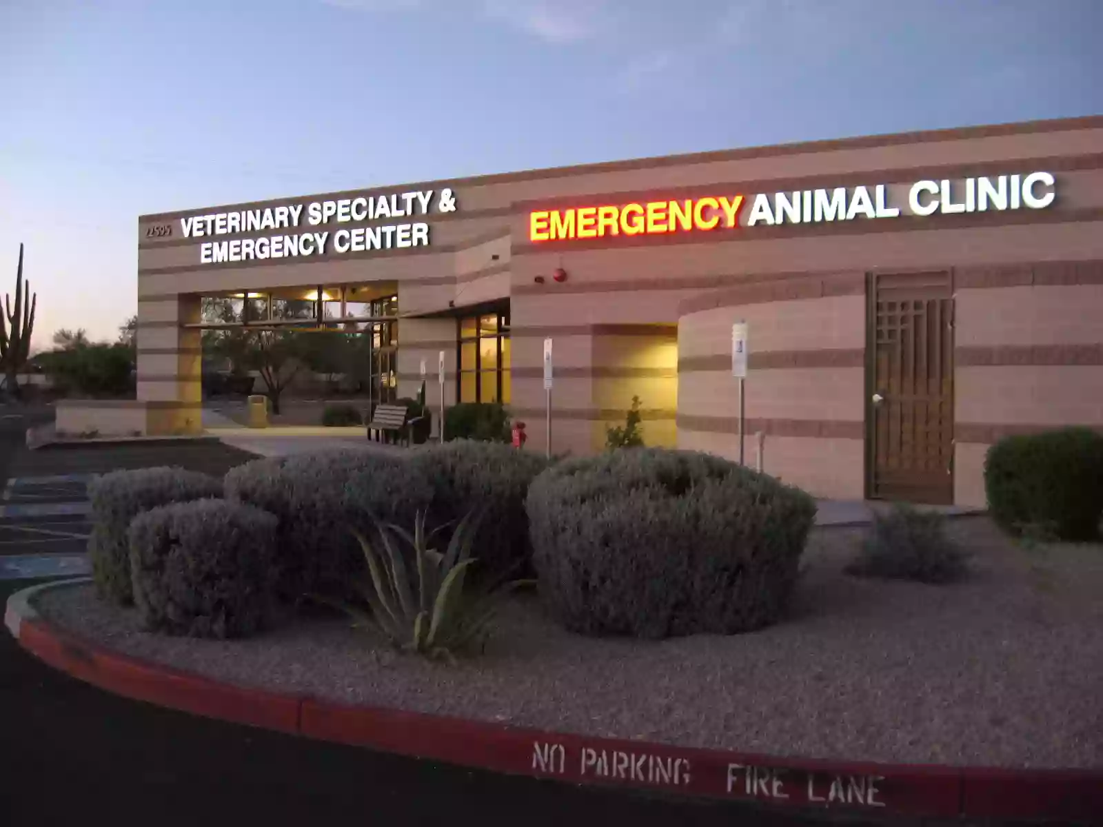 Eye Care for Animals - North Scottsdale