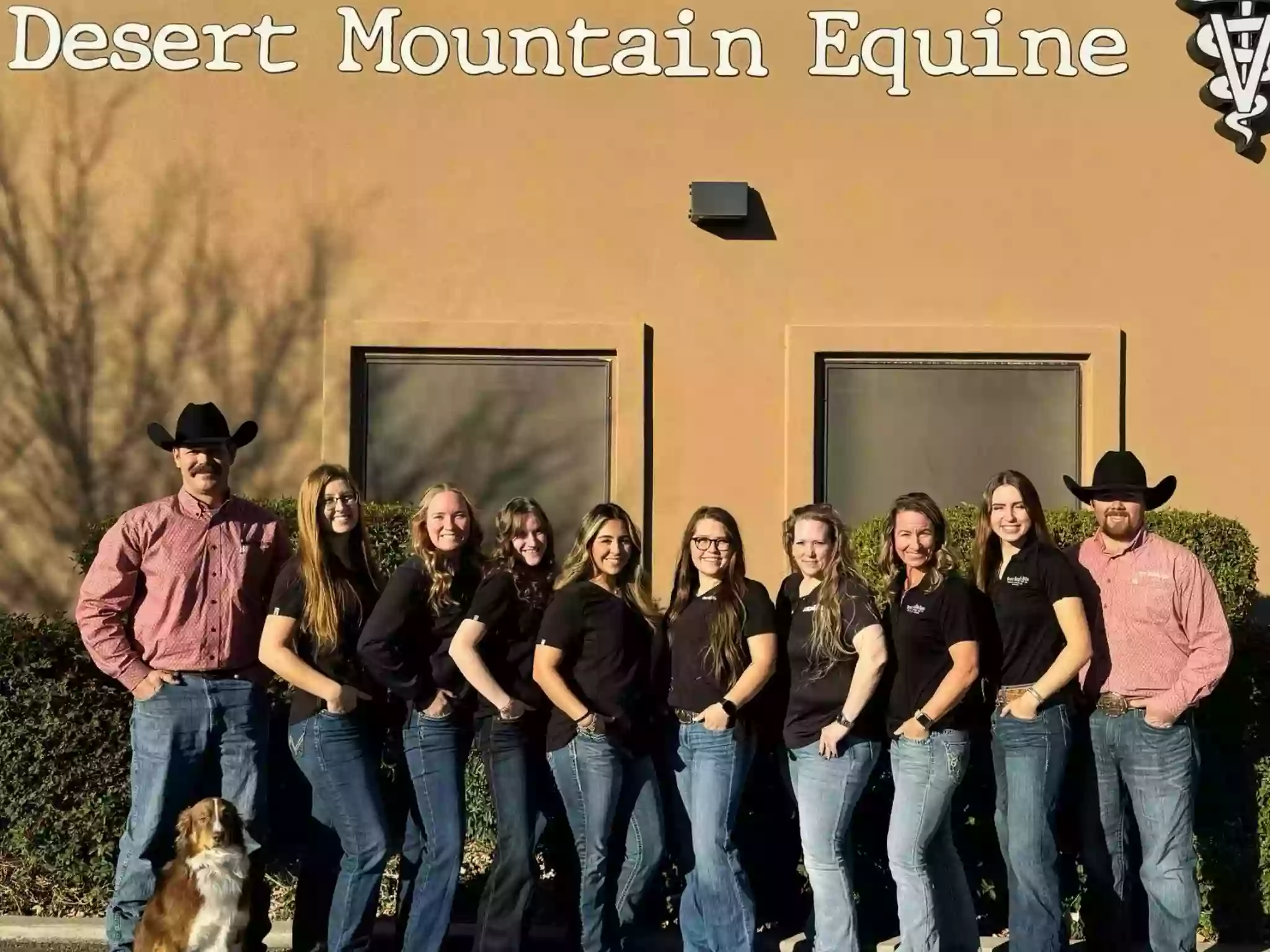 Desert Mountain Equine/ Scott Meyer, D.V.M.,M.S.