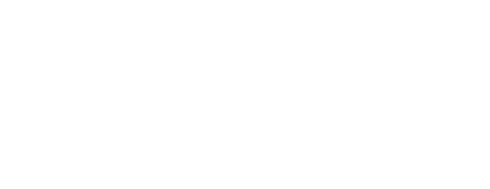 Wilkie Puchi LLP