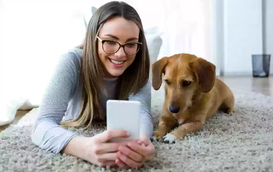 Arizona Veterinary Emergency & Critical Care Center