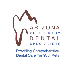 Arizona Veterinary Dental Specialists - Scottsdale