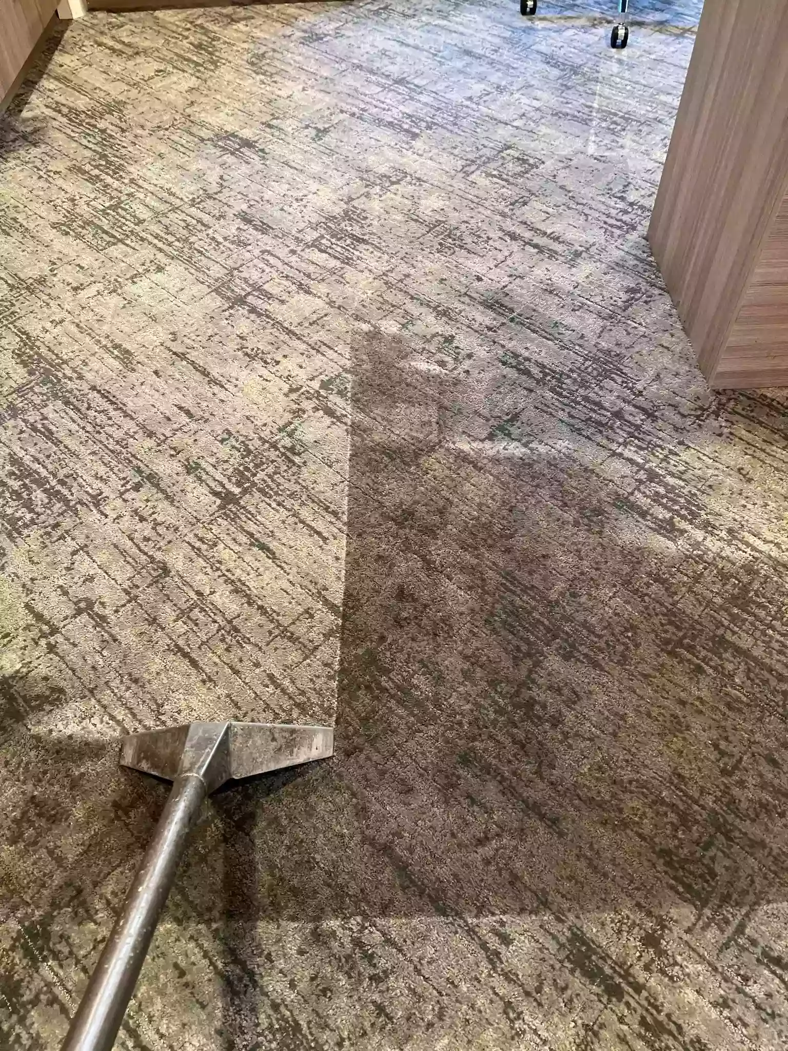Love Carpet Care