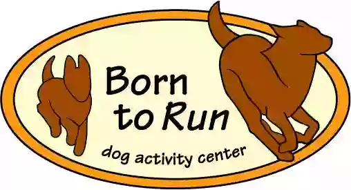 Born to Run