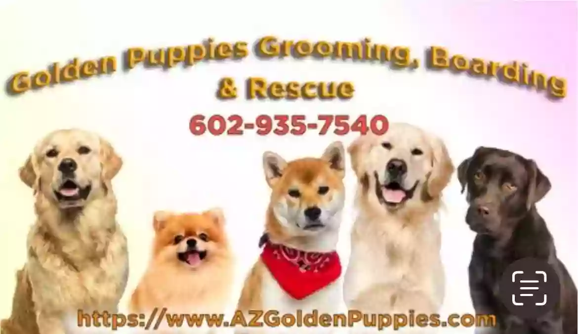 Golden Puppies
