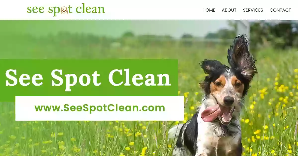 SEE SPOT CLEAN