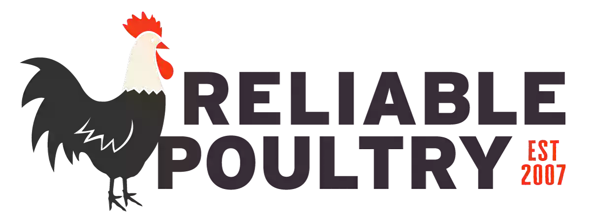 Reliable Poultry Supply