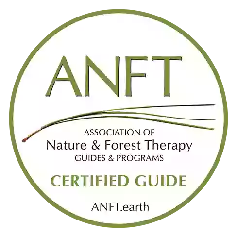 Interconnected Forest Therapy