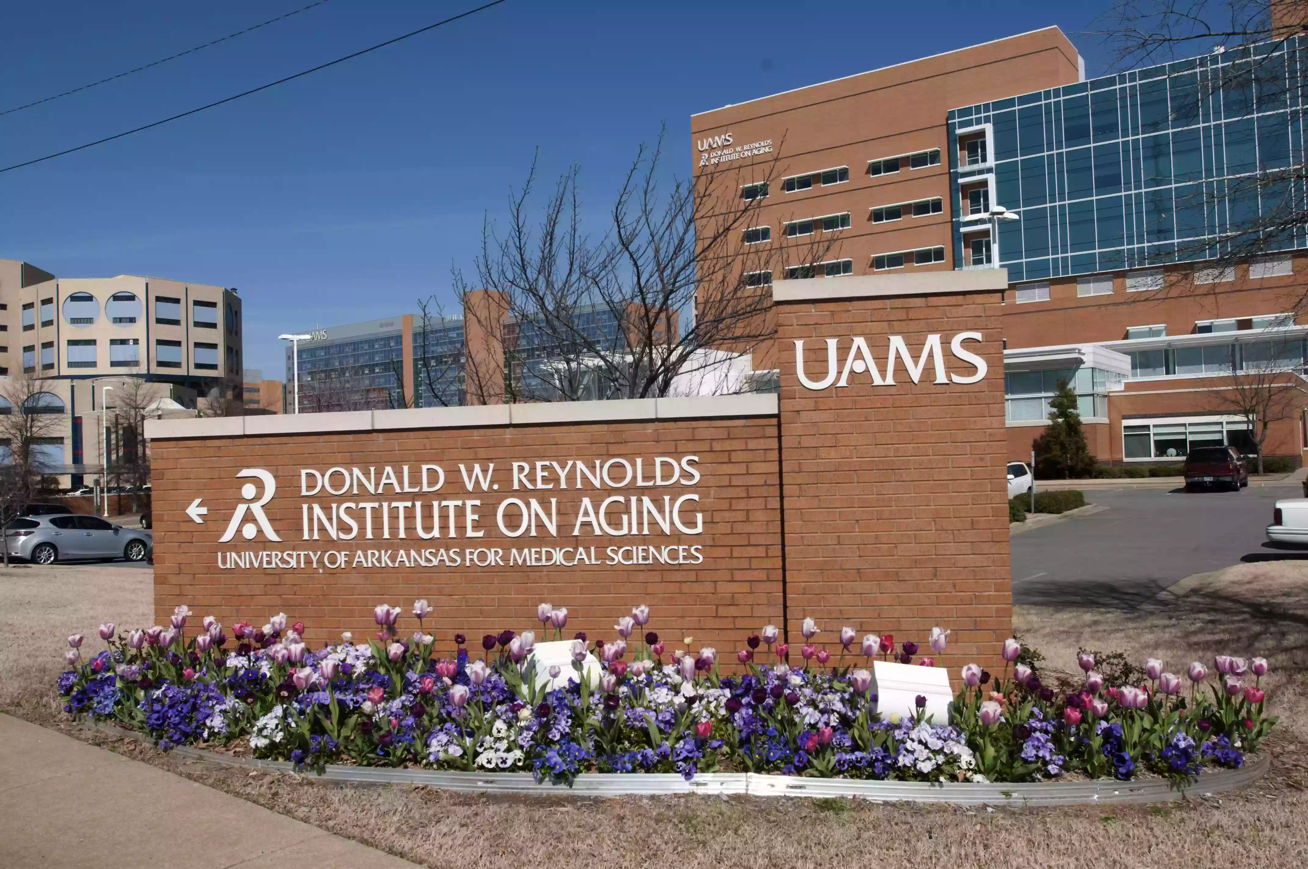 UAMS Health - Thomas and Lyon Longevity Clinic