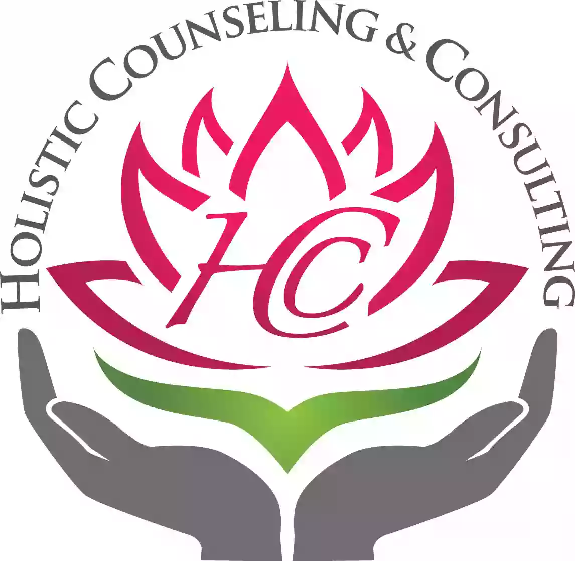 Holistic Counseling & Consulting Pllc