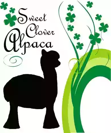 Sweet Clover Alpaca