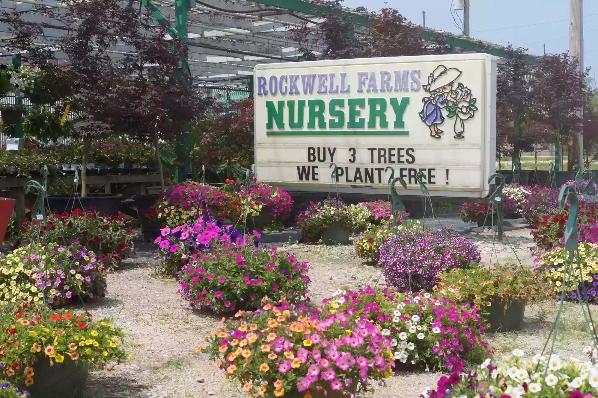 Rockwell Farms Nursery