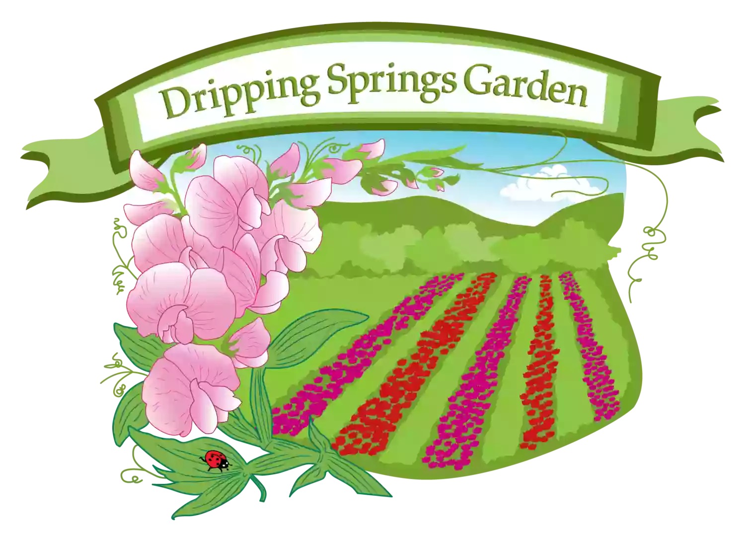 Dripping Springs Garden