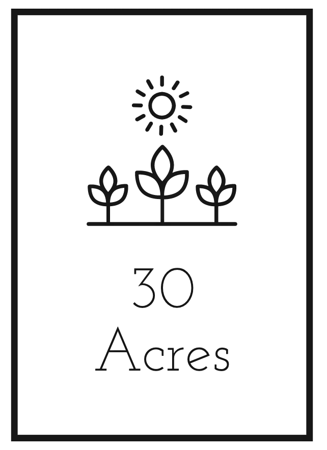 30 Acres Cafe and Catering Company