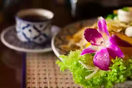 Orchid Thai Cuisine