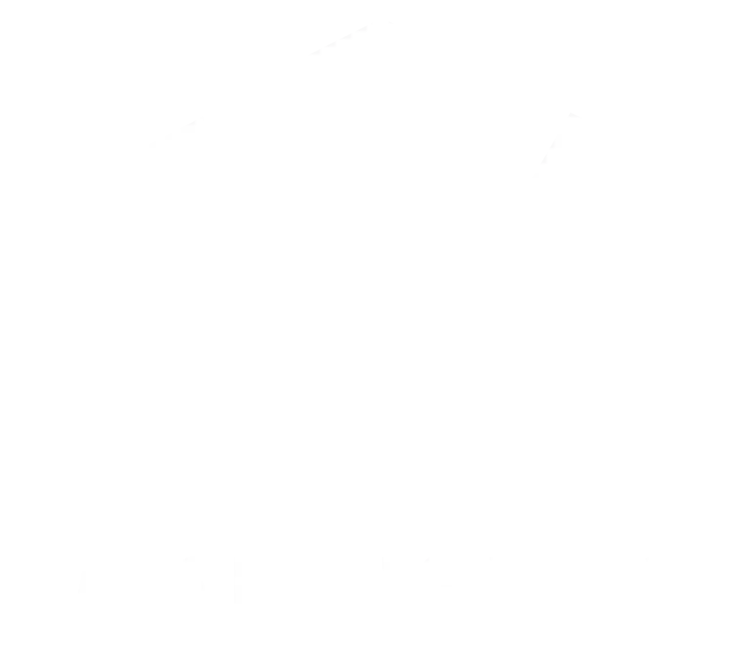 NM Auto Enhancements