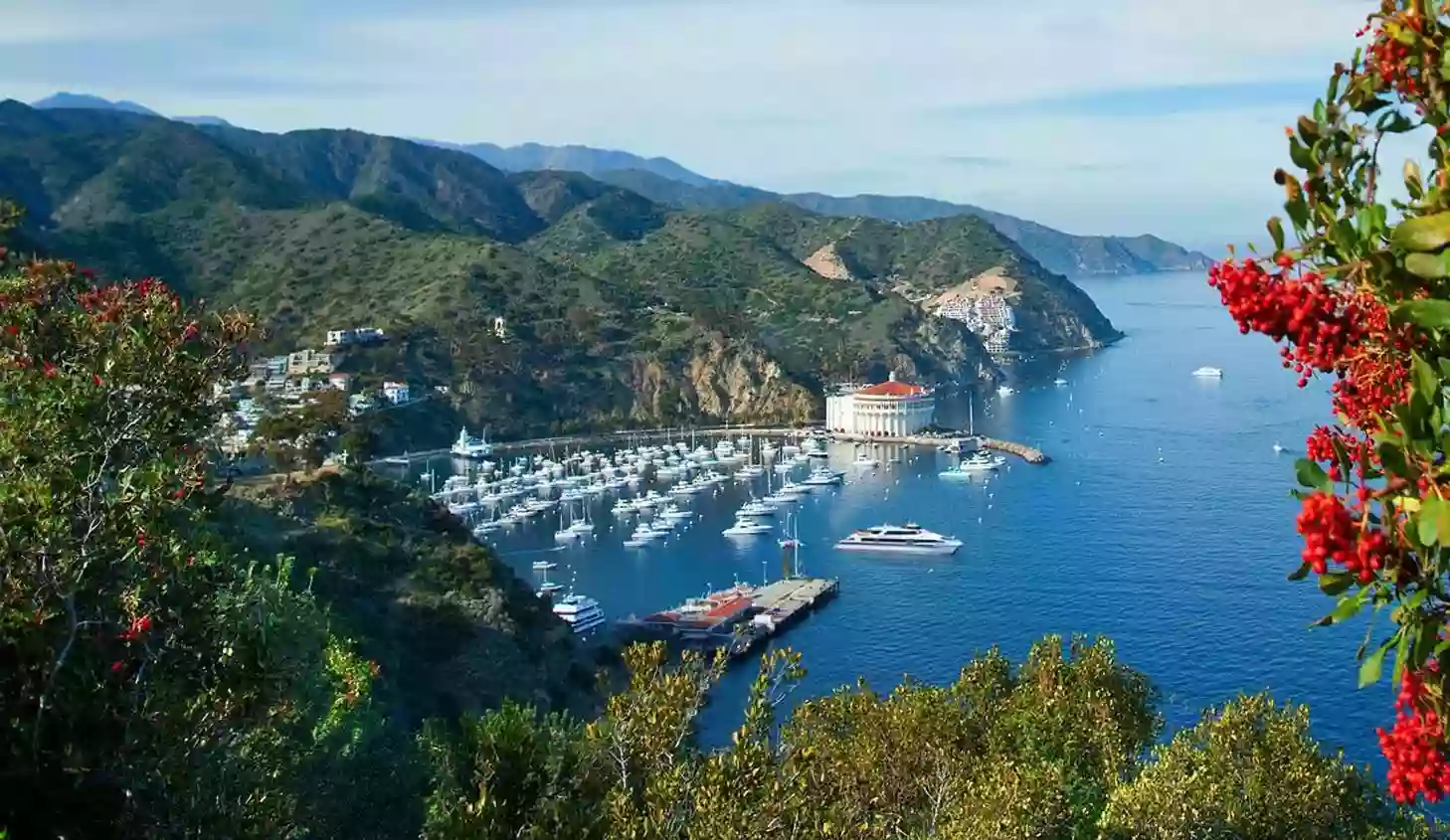 Catalina Ferry and Boat Terminal