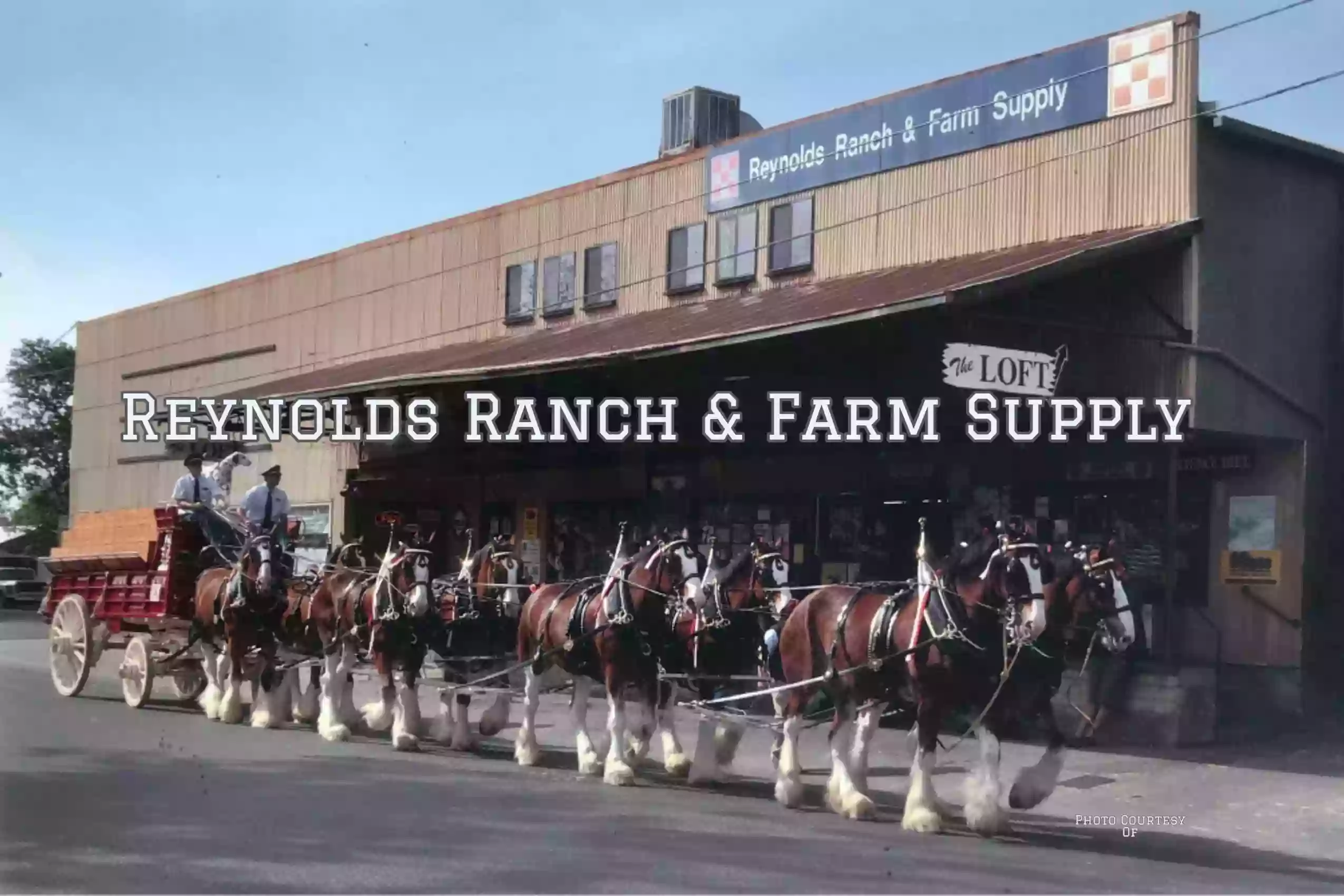 Reynolds Ranch & Farm Supply