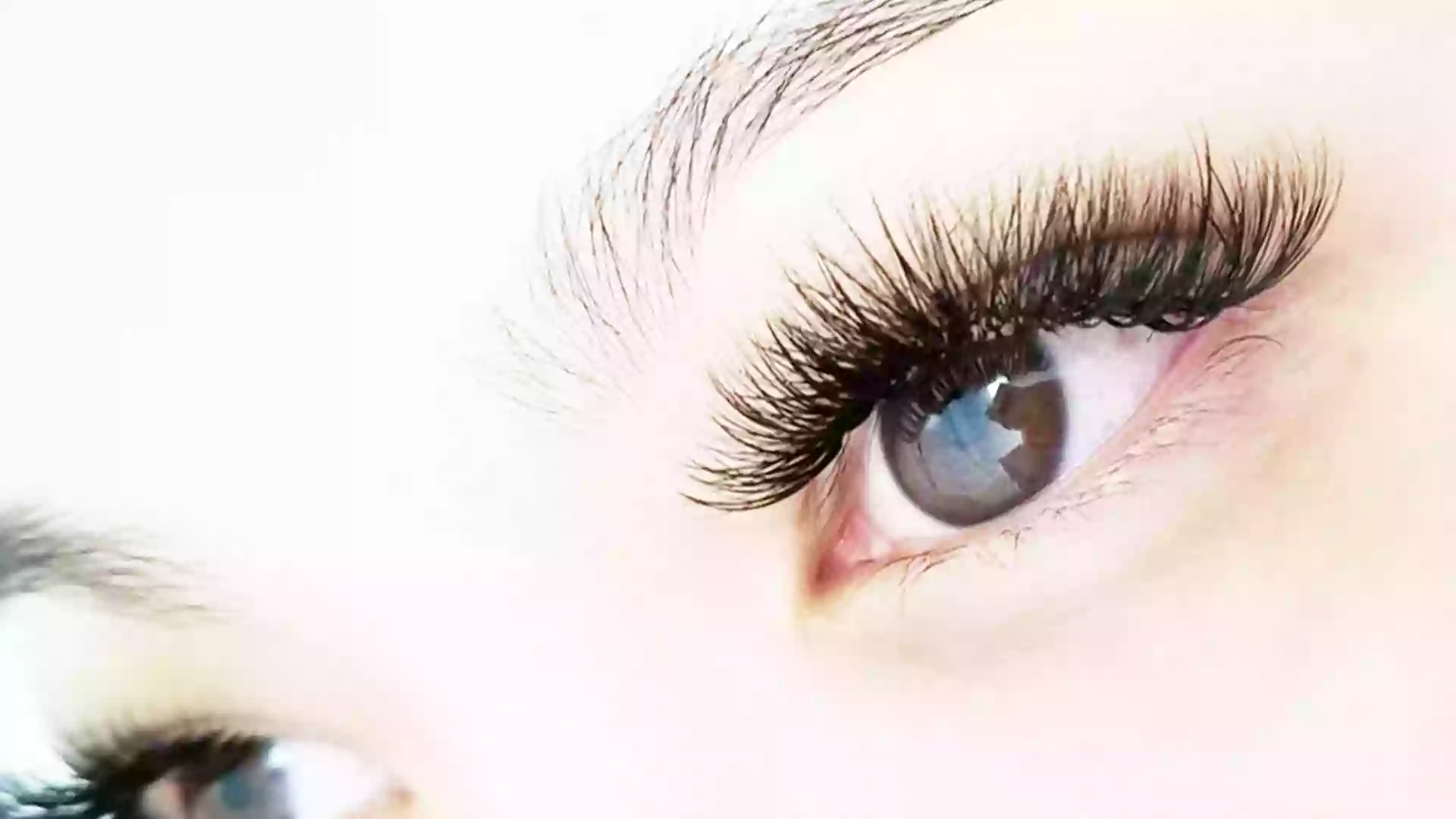 DOLLY EFFECT - Your Lash Beautifier