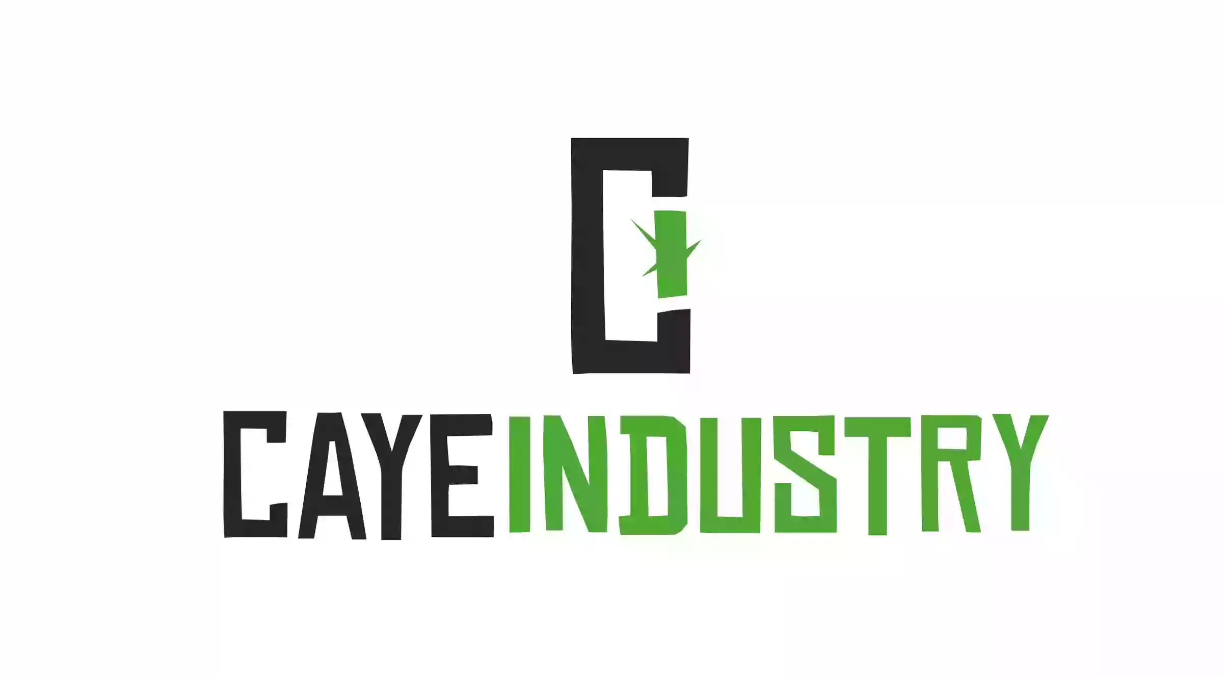 CAYE Industry