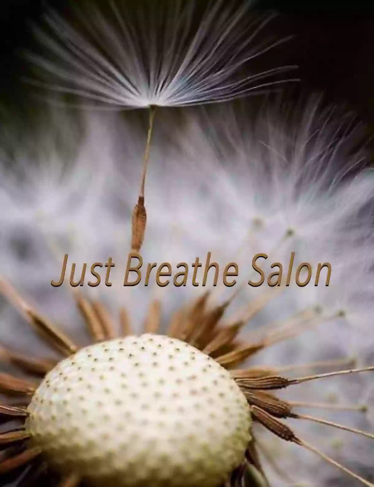 Just Breathe Salon
