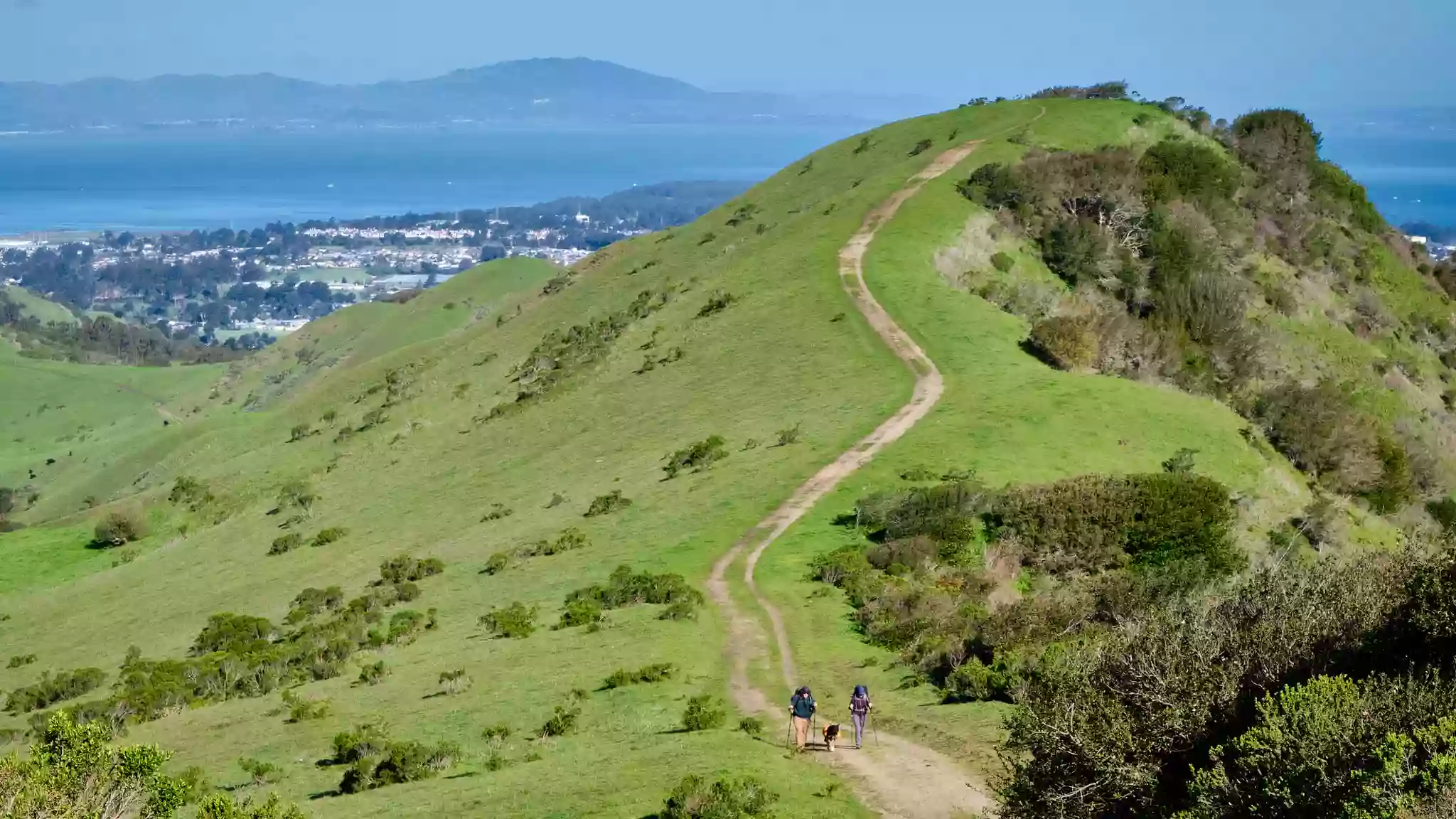 Wildcat Canyon Regional Park