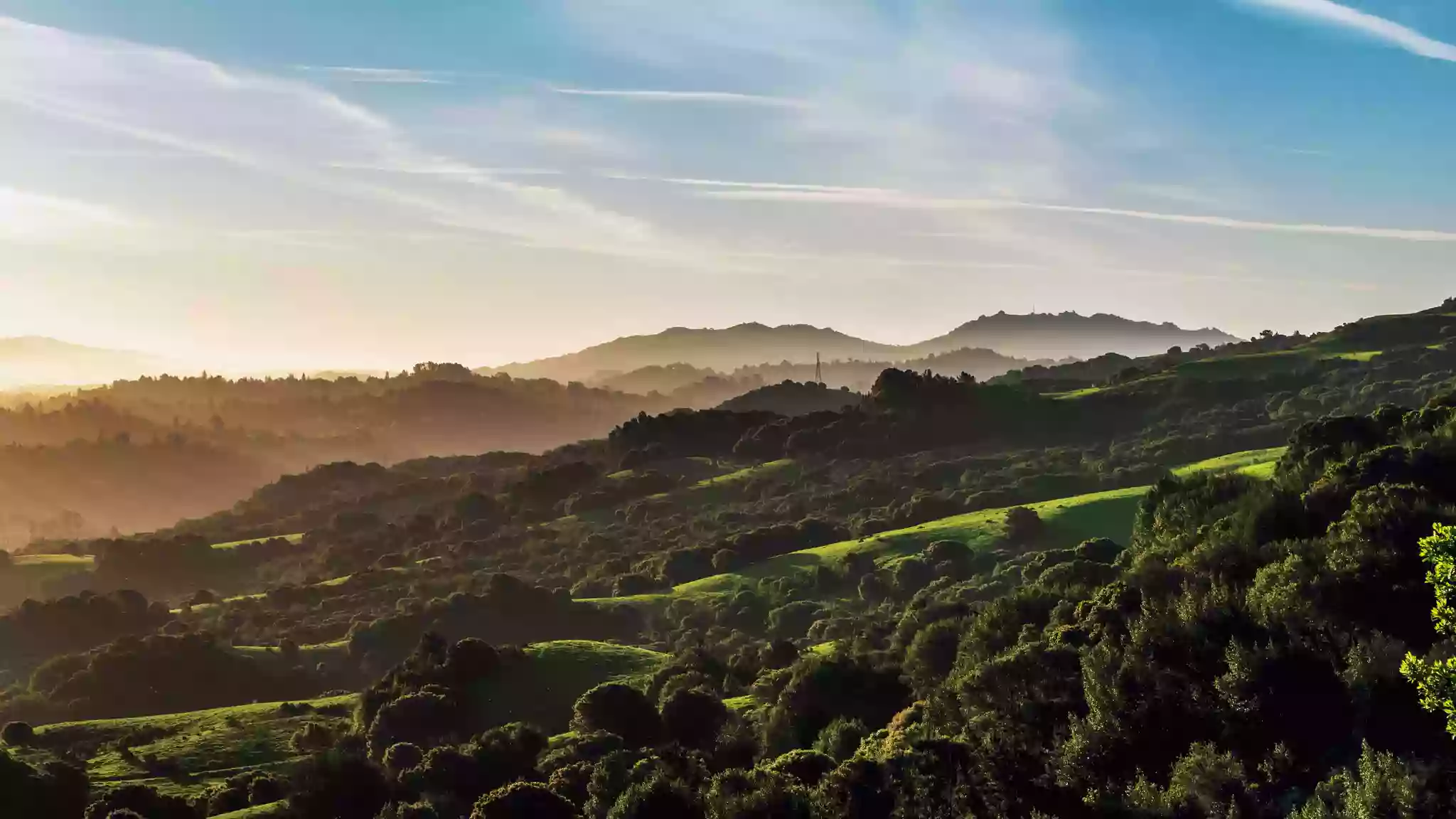 Tilden Nature Area