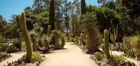 Arizona Garden