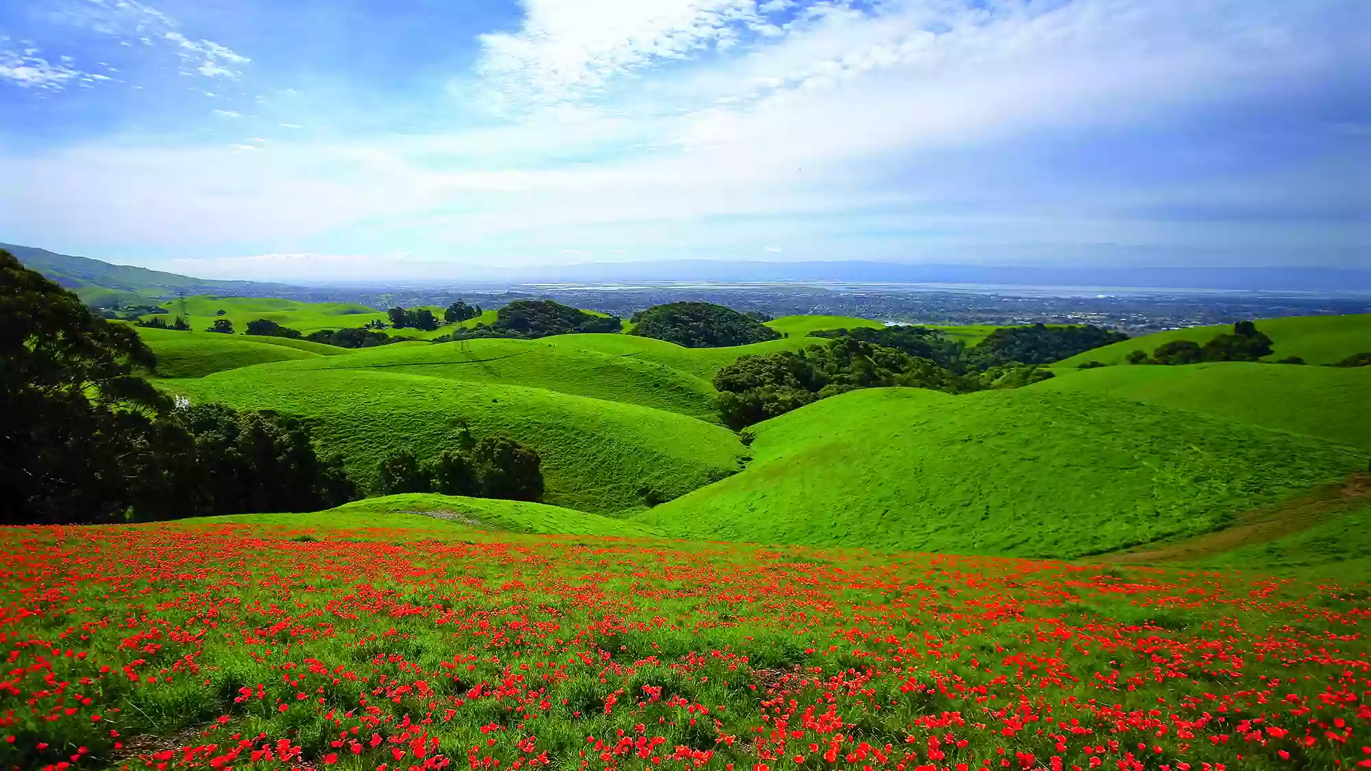 Vargas Plateau Regional Park