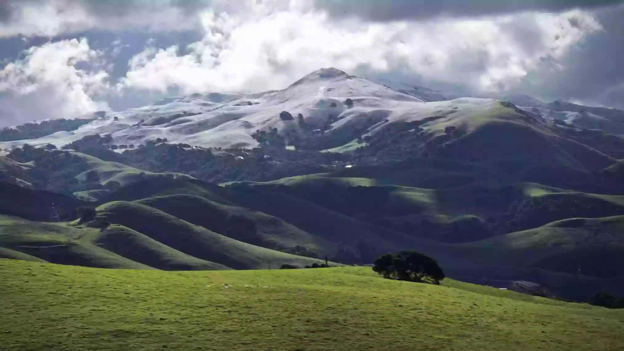 Mission Peak Regional Preserve