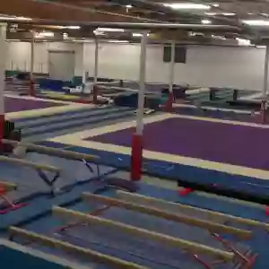 Technique Gymnastics