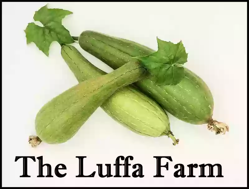 Luffa Farm