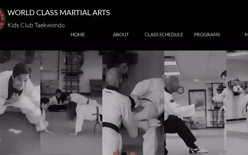 Kids Club Martial Arts, World Class Martial Arts