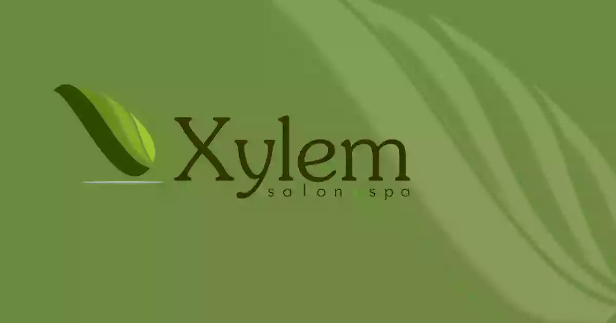 Xylem: An AVEDA Lifestyle Salon & Spa