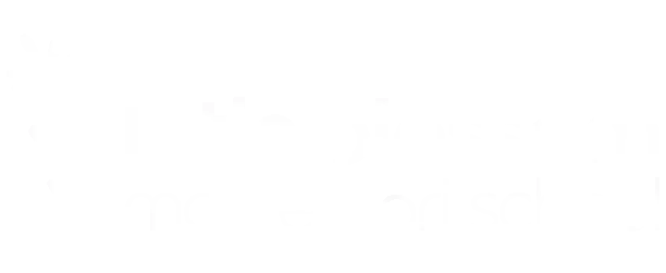 Little Blossom Montessori School