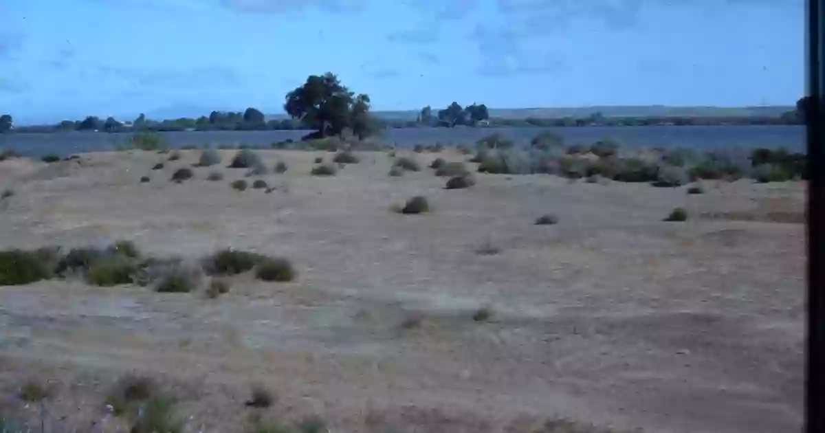 Antioch Dunes National Wildlife Refuge