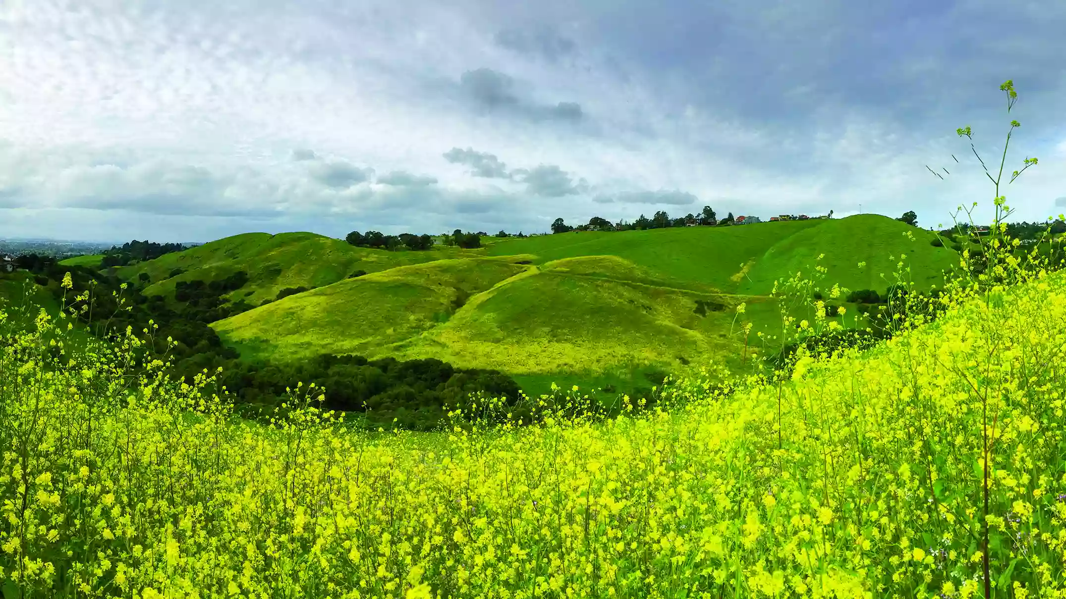 Dry Creek Pioneer Regional Park