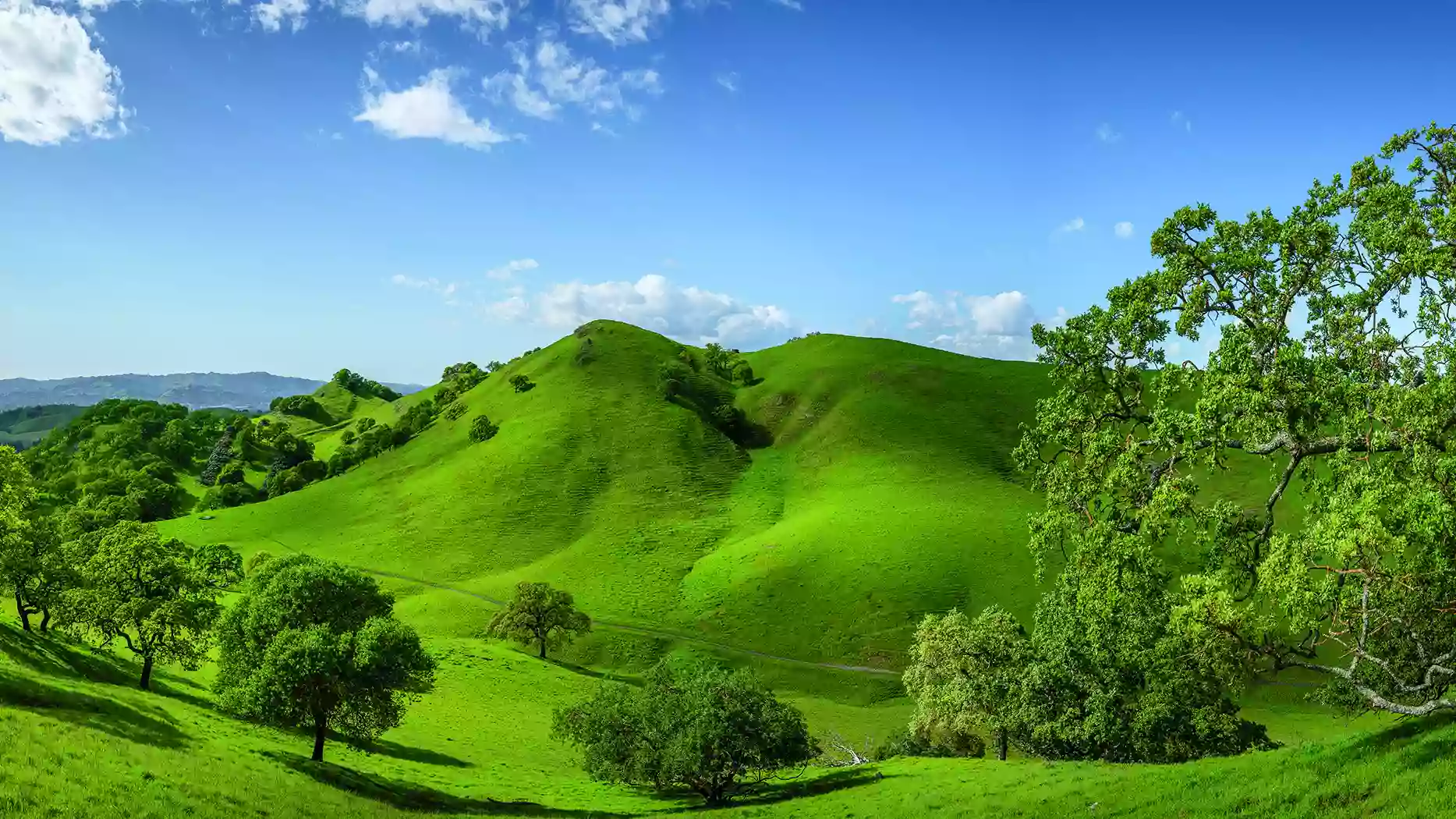 Tassajara Creek Regional Park