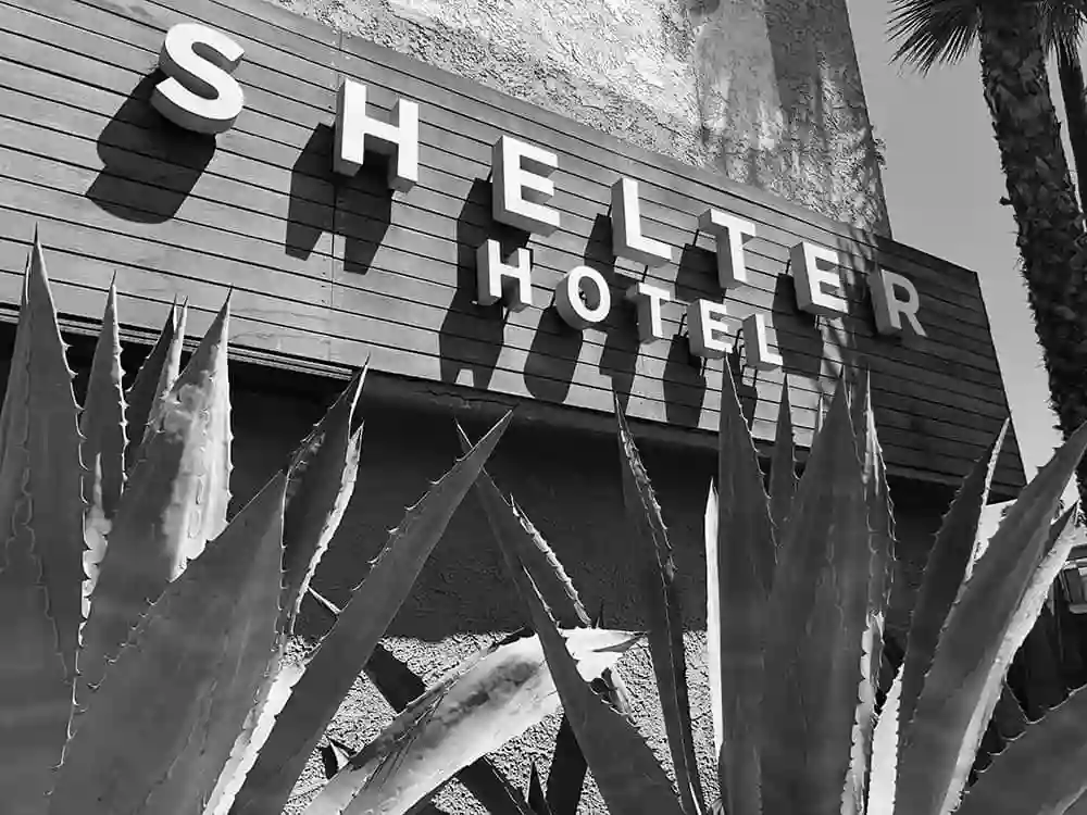 Shelter Hotels
