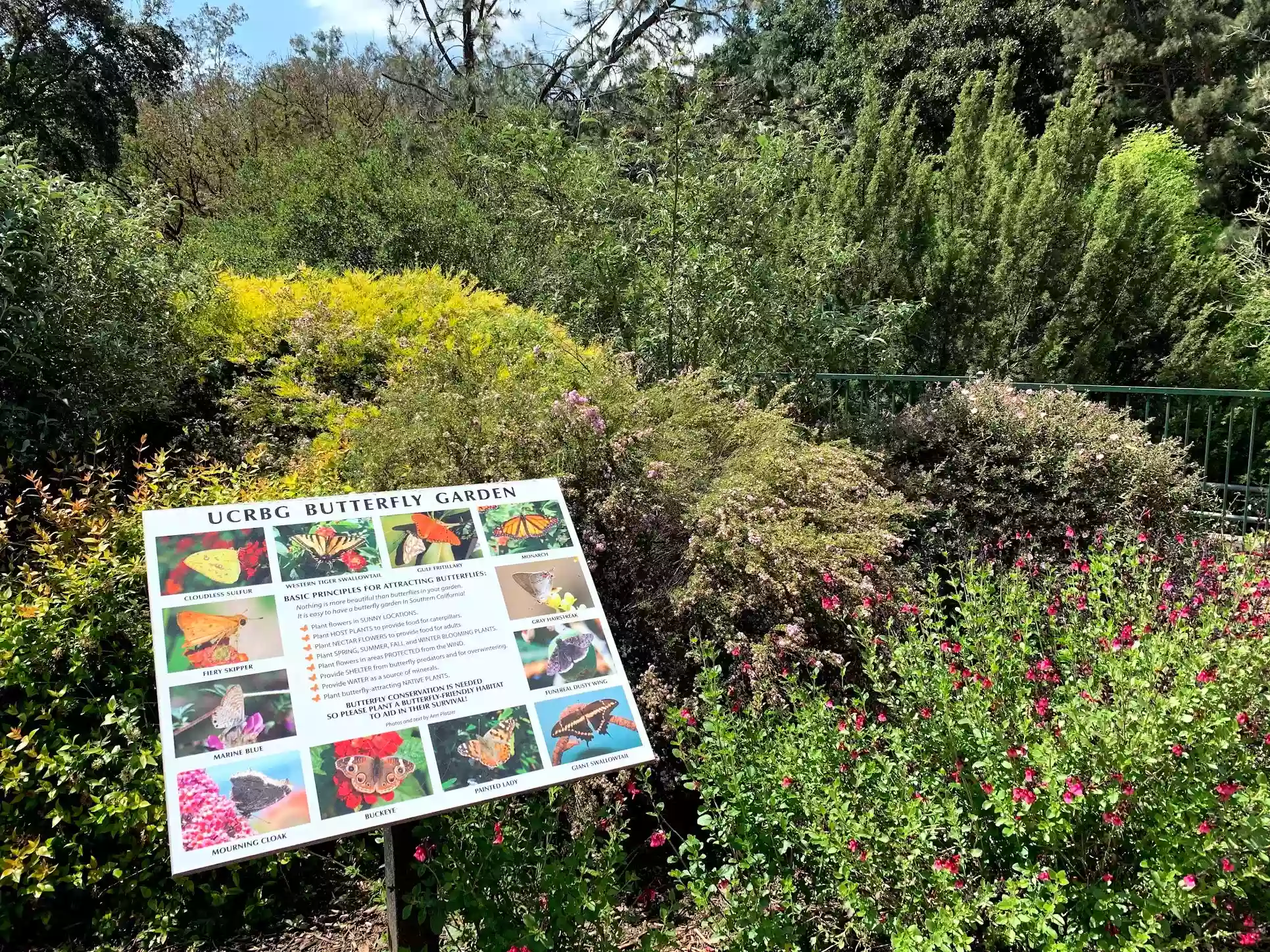 UCRBG Butterfly Garden