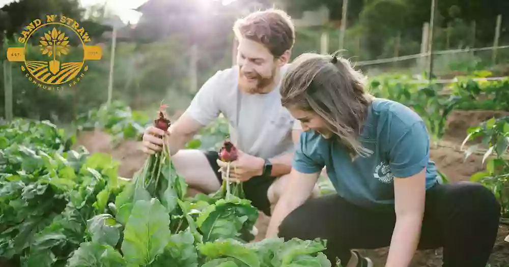 Sand n' Straw Community Farm