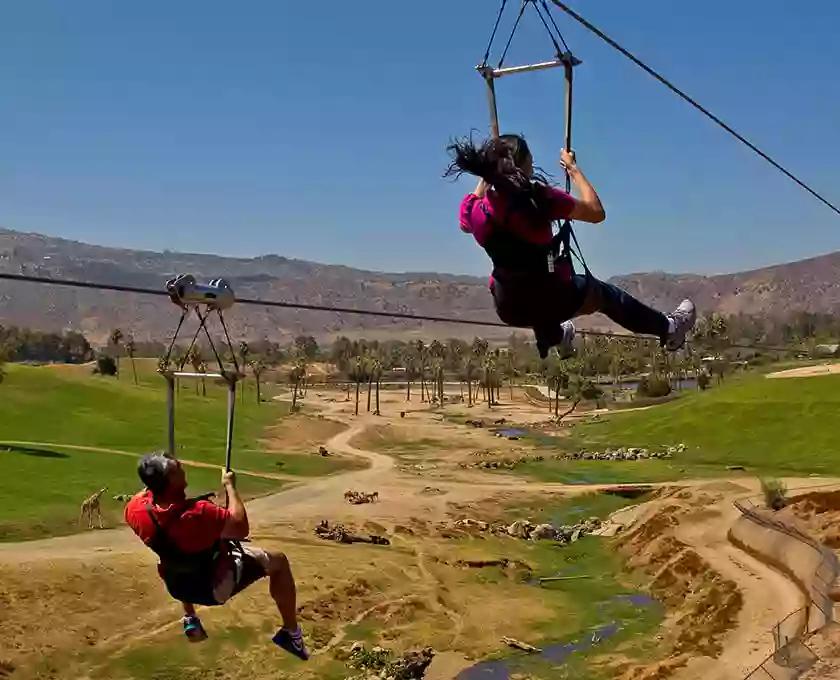 Flightline Safari (zipline)