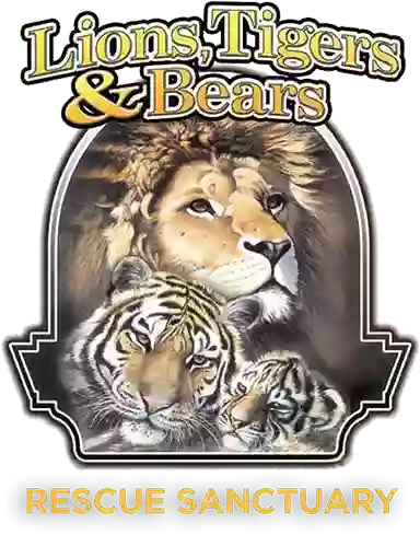 Lions Tigers & Bears