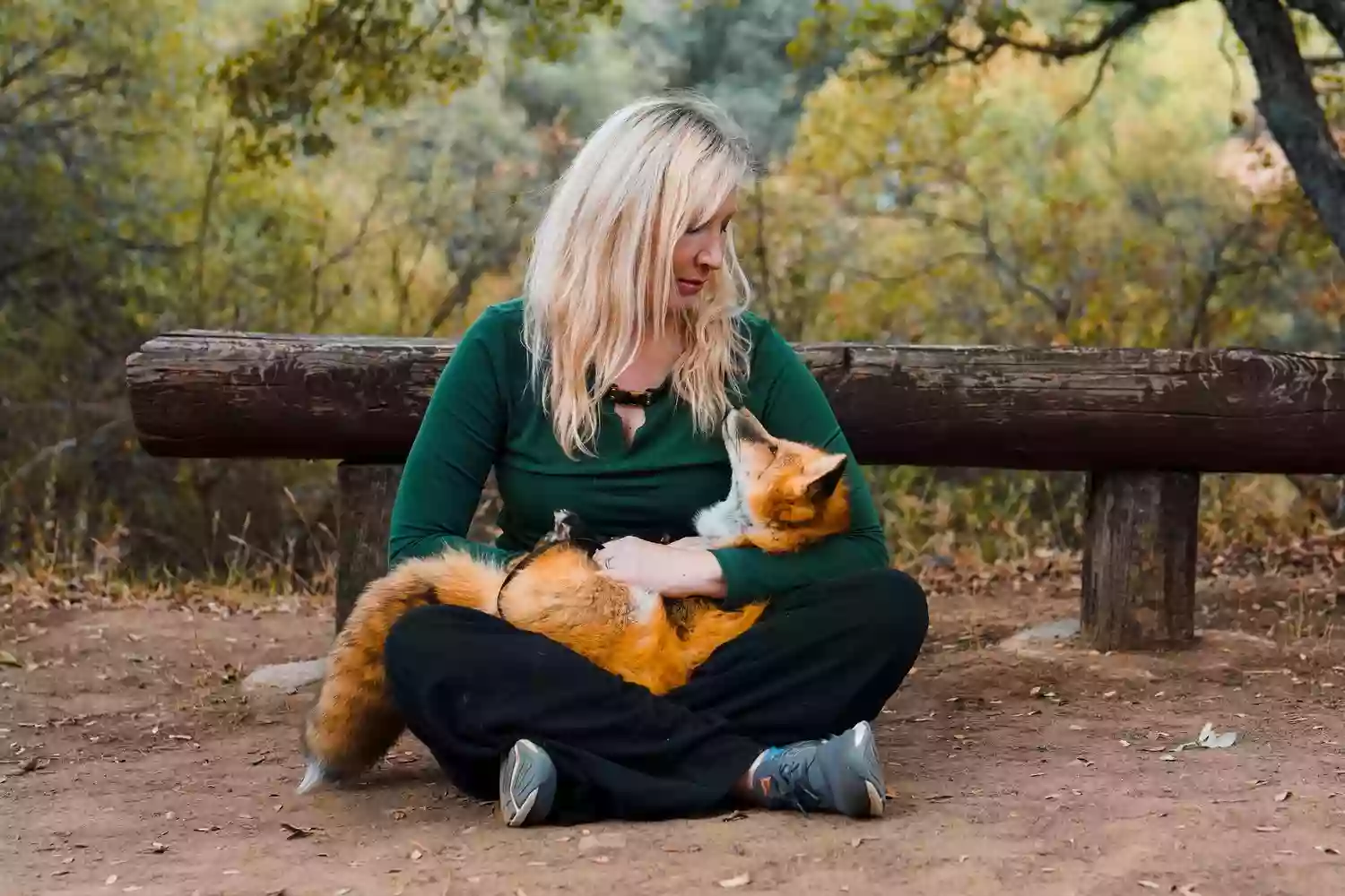 Judith A Bassett Canid Education & Conservation Center