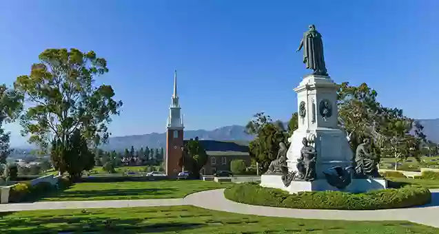 Forest Lawn