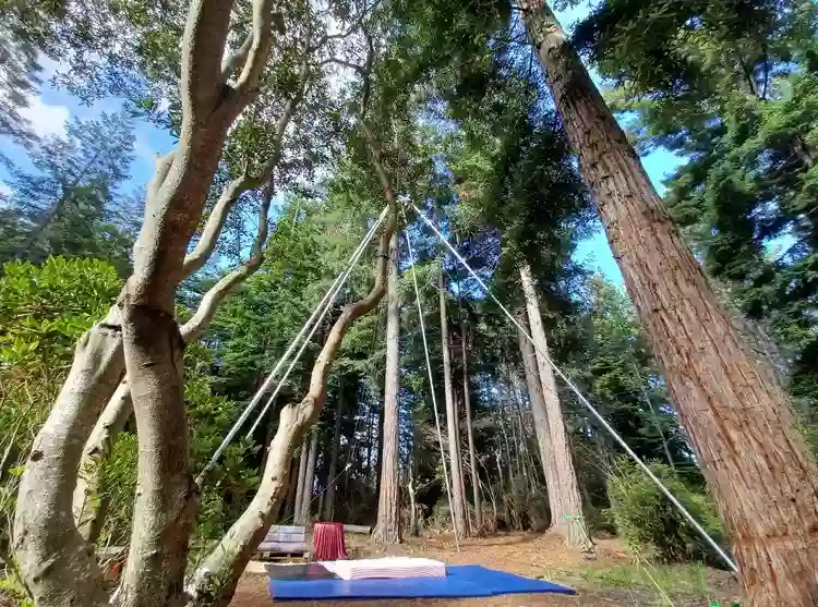 Gualala Aerial Silks