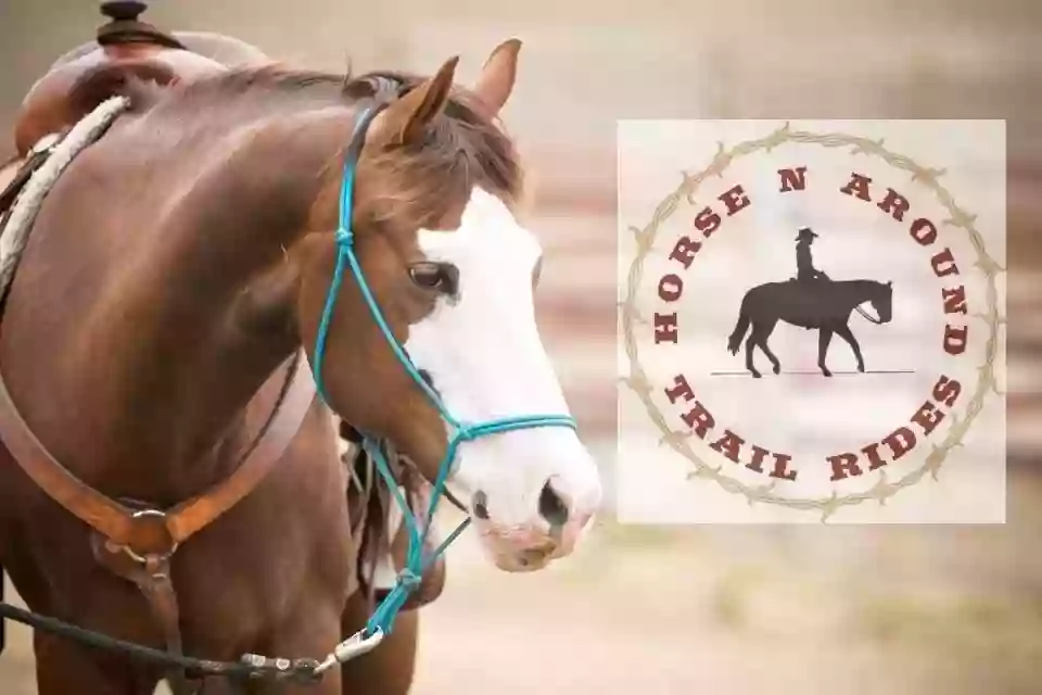 Horse N Around Trail Rides