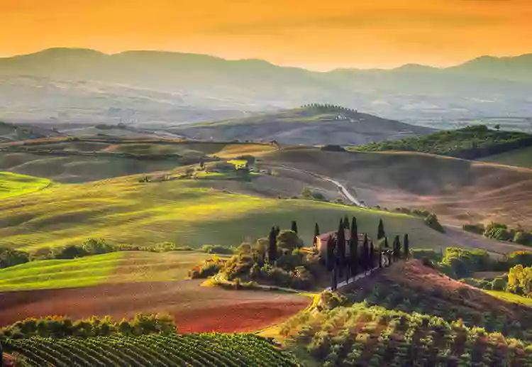 Tuscany Tours